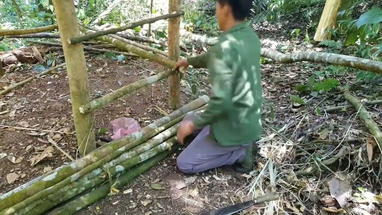 48 Hours in the Forest – Building a Shelter & Surviving Off the Land img
